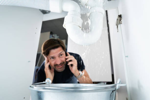 Best Pipe Repair Near Me  in Renville, MN