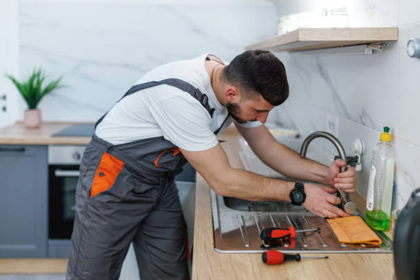 Best Same-Day Plumbing Service  in Renville, MN