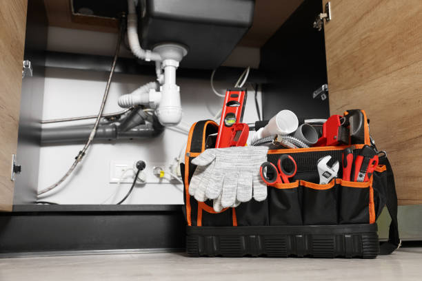 Best Best Plumbers Near Me  in Renville, MN