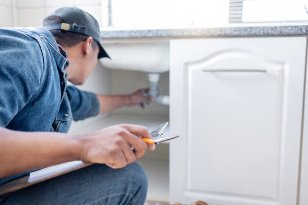 Best Plumbing Repair Near Me  in Renville, MN