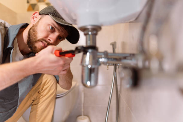 Best Affordable Plumber Near Me  in Renville, MN