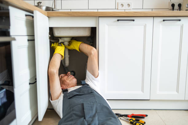 Best Plumbing Installation Services  in Renville, MN