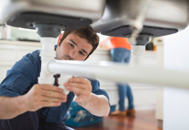 Best Commercial Plumbing Services  in Renville, MN