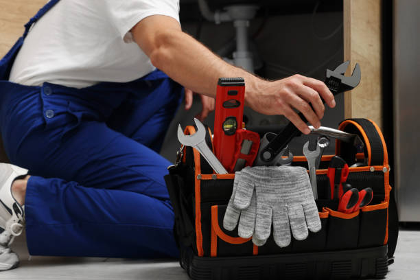 Best Local Plumber Services  in Renville, MN