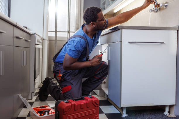 Best Plumbing Inspection Services  in Renville, MN
